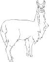 Mammal Clipart