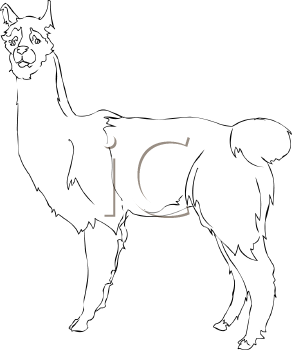 Mammal Clipart