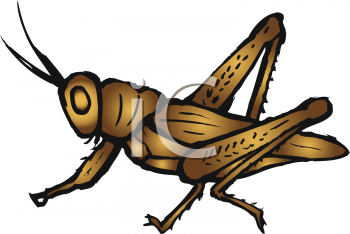 Bug Clipart