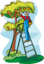 Orchard Clipart