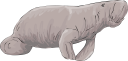 Mammal Clipart