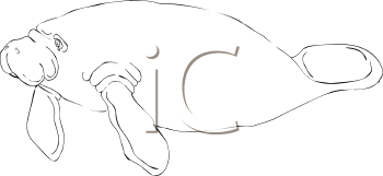 Mammal Clipart
