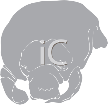 Mammal Clipart