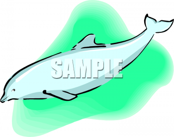 Dolphin Clipart