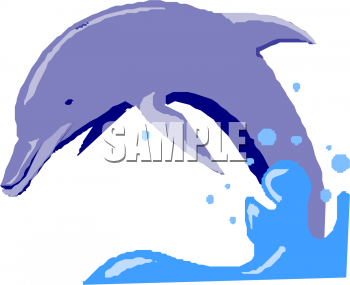 Dolphin Clipart
