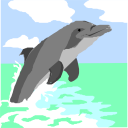 Dolphin Clipart