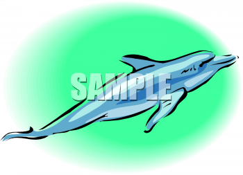 Dolphin Clipart