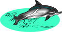 Dolphin Clipart