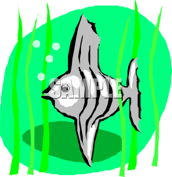 Fish Clipart