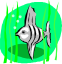Fish Clipart