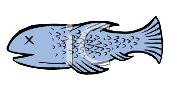 Cartoon Clipart