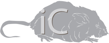 Mammal Clipart