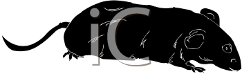 Mammal Clipart