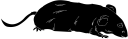 Mammal Clipart