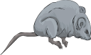 Mammal Clipart