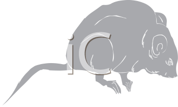 Mammal Clipart