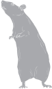 Mammal Clipart
