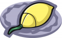 Computer Clipart