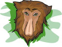 Mammal Clipart