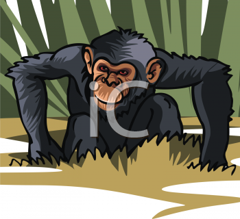 Chimpanzee Clipart