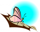 Bug Clipart