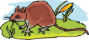Grass Clipart