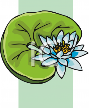 Lily Clipart