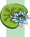 Lily Clipart