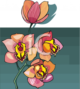 Orchid Clipart