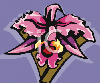 Orchid Clipart