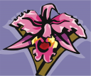 Orchid Clipart