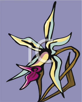 Orchid Clipart