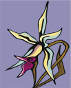 Orchid Clipart