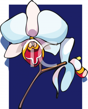 Orchid Clipart