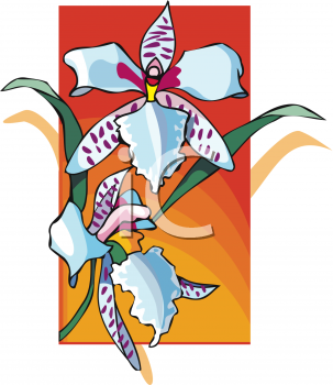 Orchid Clipart