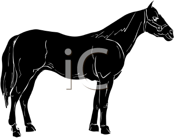 Horse Clipart