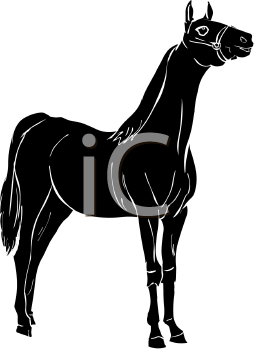 Horse Clipart