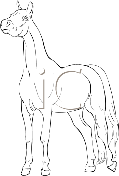Horse Clipart
