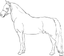 Horse Clipart