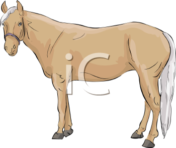 Horse Clipart