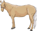 Horse Clipart