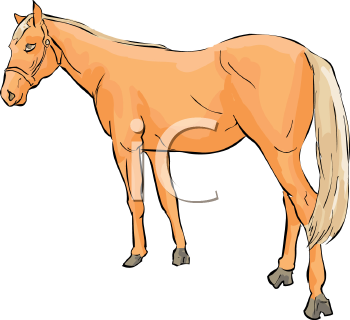 Horse Clipart