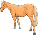 Horse Clipart