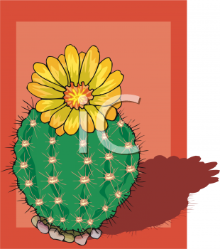 Cactus Clipart