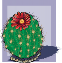 Cactus Clipart