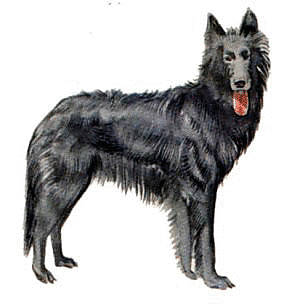 Free Dog Clipart