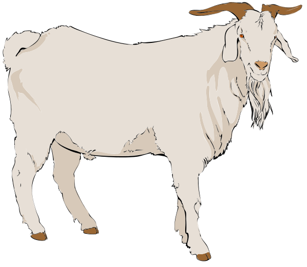 Free White Goat Clipart, 1 page of Public Domain Clip Art