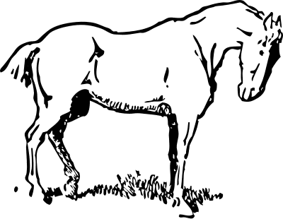 Free Horse Coloring Pages Clipart Clipart Picture 13 Of 34
