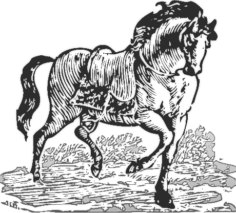 Free Horse Clipart