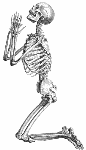 Free Skeleton Clipart